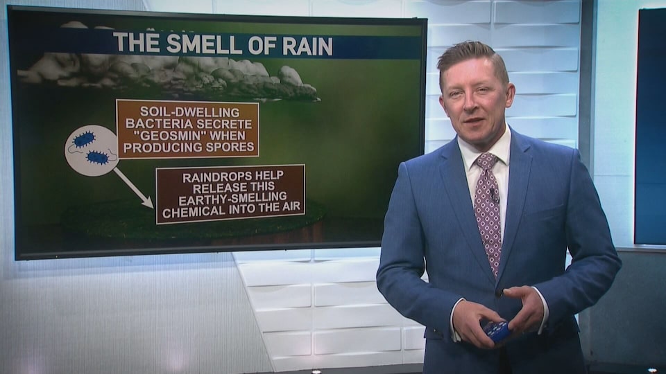 Weather Watchers Online: Sept. 12