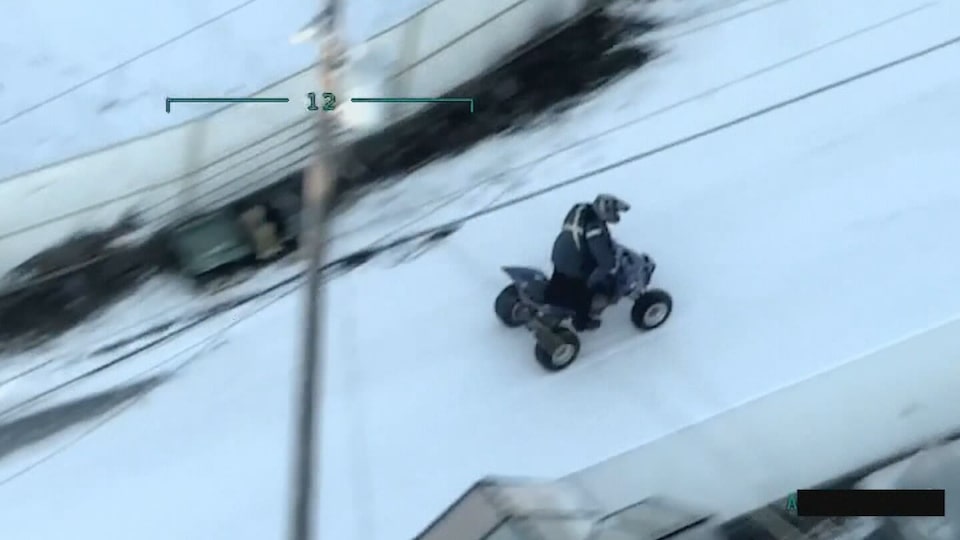 Red Deer News: Nov. 28