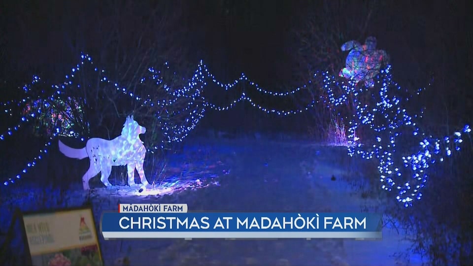 Christmas at Mādahòkì Farm