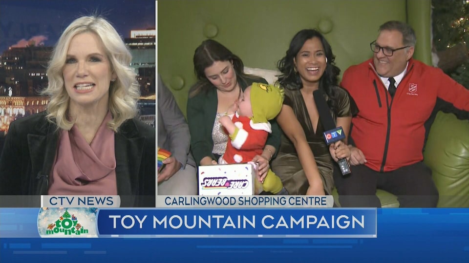 Toy Mountain at the Carlingwood Shopping Centre