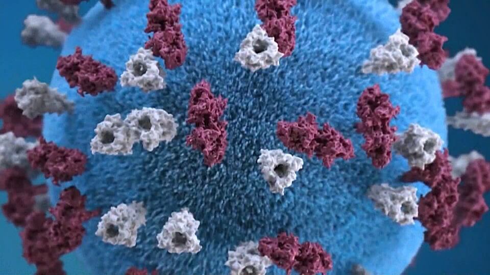 B.C. to provide measles update